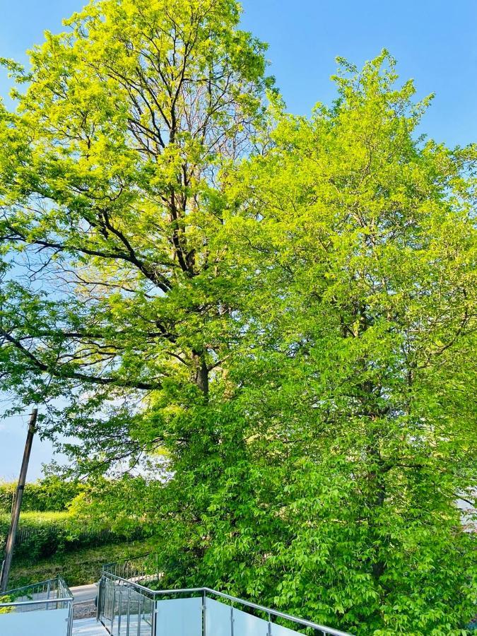 Ferienwohnung Waldblick Kaufungen Esterno foto